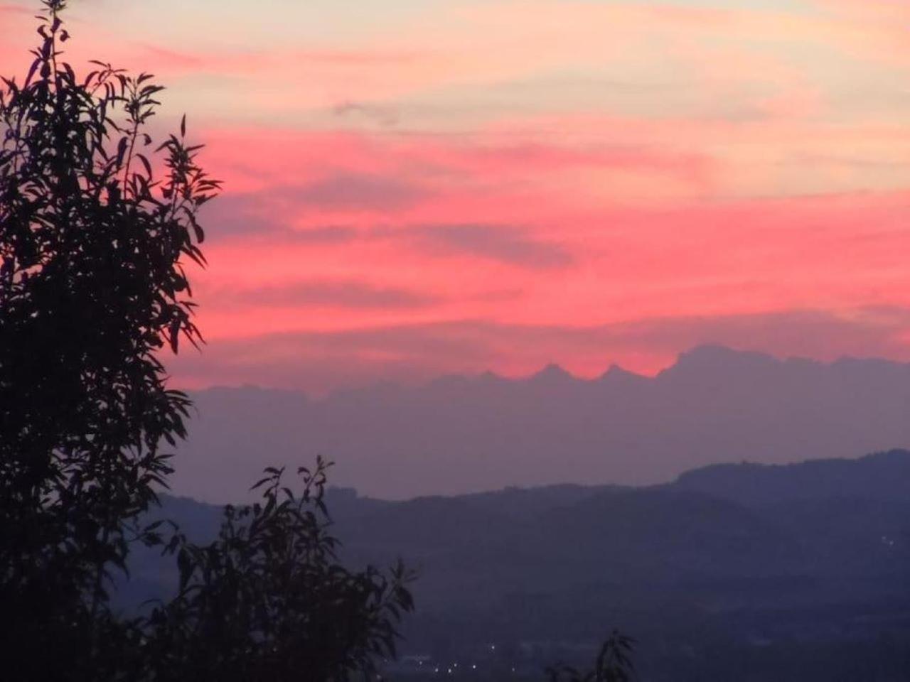 La Barberina Διαμέρισμα Ozzano Monferrato Εξωτερικό φωτογραφία